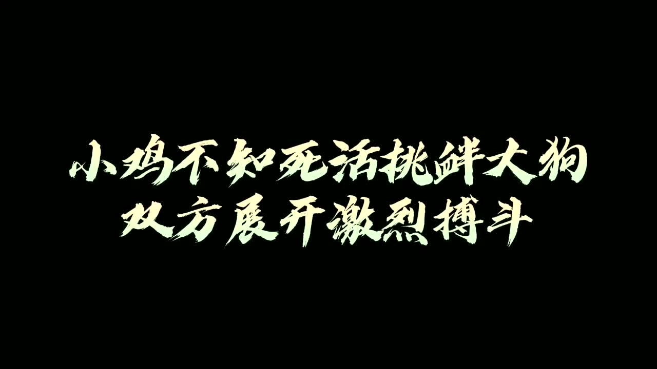 包含上海战队遭遇不利，将会展开更激烈的反击的词条